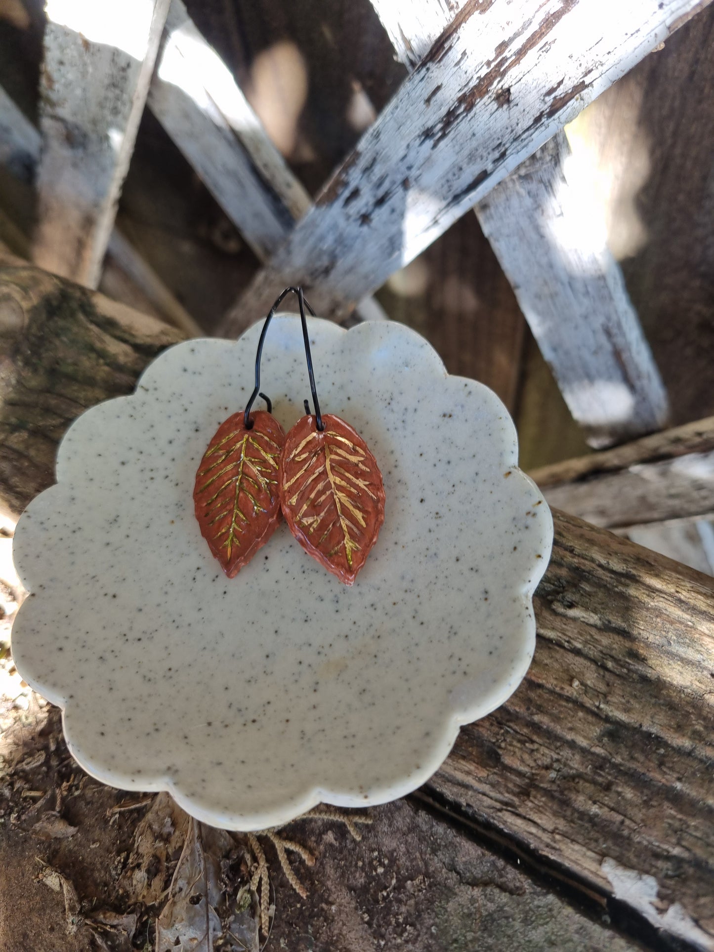 Autumn leaves