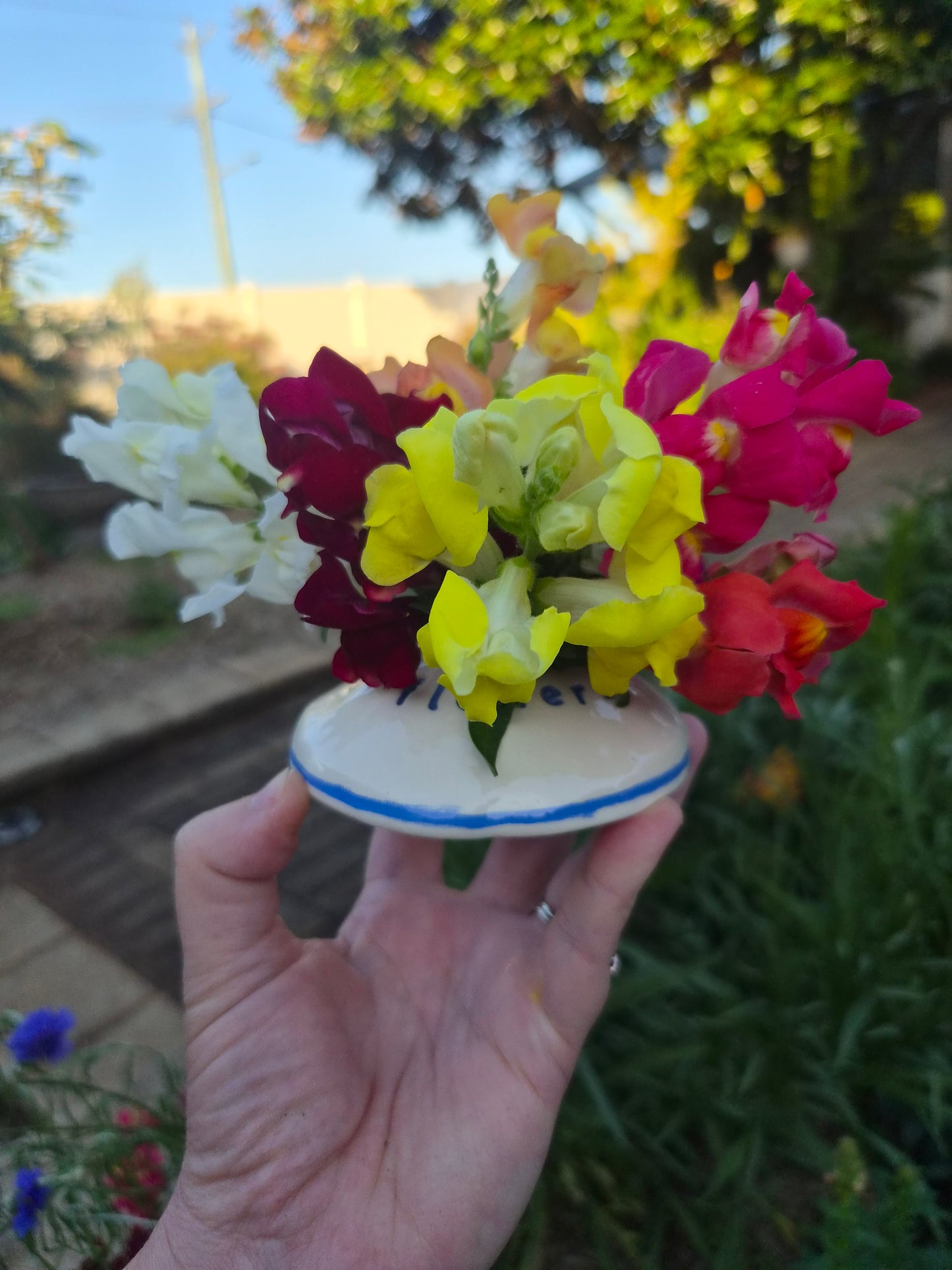 Bloom Dome