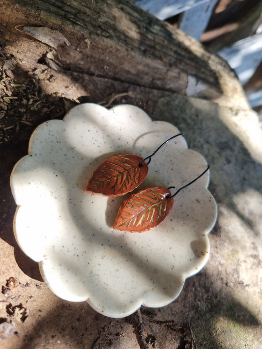 Autumn leaves